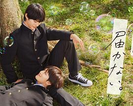 苏菲大尺度海报剧照